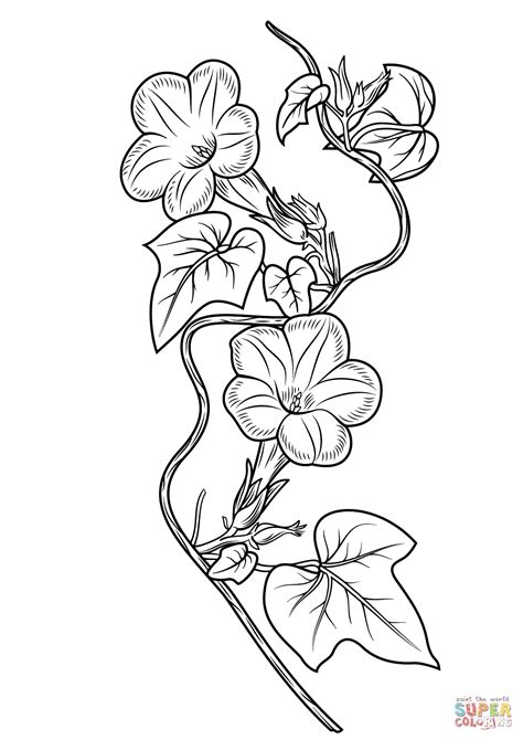coloring pages  format flowers evelynin geneva
