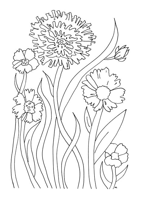 beautiful flowers  color flowers kids coloring pages