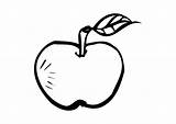 Manzana Appel Pomme Apfel Colorare Mela Manzanas Coloriage Malvorlage Disegno Tekening Appels Makkelijk Makkelijke Getekend Einstein Alimentos sketch template