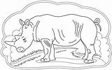 Rhino Rhinoceros Baby Supercoloring sketch template