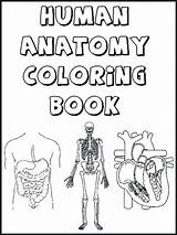 Body Coloring Human Pages Organs Printable Getcolorings Skeleton sketch template