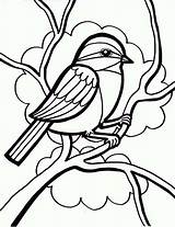 Bird Coloring Pages Drawing Cute Sparrow Little Chickadee Birds Kids Line Color Printable Singing Draw Drawings Print Snake Book Clipart sketch template