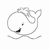 Baleia Whale Desenho Em Coloringcity Preschoolers Baleias Coelho Rosto Myrl Figuras Pascoa Escolha sketch template