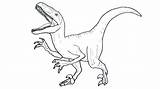 Jurassic Velociraptor Raptor Indoraptor Dinosaure Colorier Coloringhome sketch template