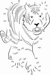 Relier Tigre Worksheet Animaux sketch template