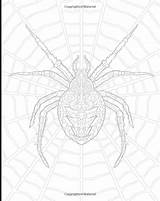 Complicated Spiders sketch template