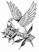 Colombe Tatouage Oiseau Traditional sketch template