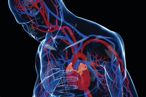 ems solutions international marca registrada current   cardiac