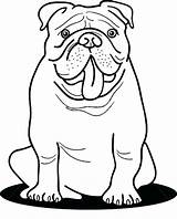 Bulldog Coloring Pages Printable English Georgia Clipart American Bulldogs Puppy Kids Color Getcolorings Print Funny Dog Getdrawings Pag Drawing Colorings sketch template