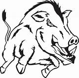 Razorback Drawing Hog Svg Razorbacks Getdrawings sketch template