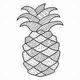 Pineapple Coloring Adult Line Zentangle Drawing Illustration Stock Preview Getdrawings sketch template