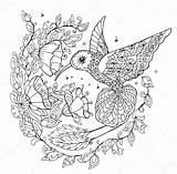 Hummingbird Colorear Mandalas Colibri Dibujos Sunflower Colibrí Colibries Książka Kolorystyki Aves Depositphotos Colibríes Primero Adultos sketch template
