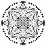 Coloring Flower Life Mandala Color 1500 Relieve Stresses Daily Beautiful Designs Pdf sketch template