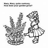 Mary Contrary Quite Surfnetkids Coloring sketch template