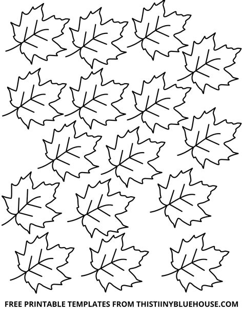 leaf template printable  sizes  leaf outlines small medium