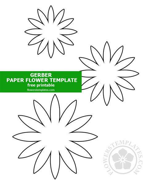 gerber daisy paper template flowers templates