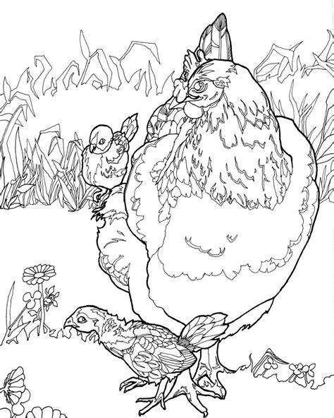 beautiful coloring pages   variety  chicken designs coloring pages