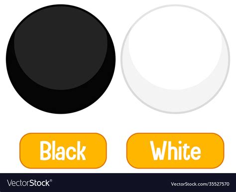 color  font black  white vector image