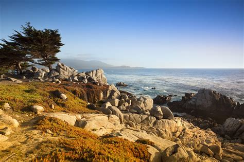 experience    monterey california lonely planet
