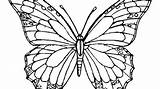 Blank Butterfly Pages Coloring Printable Getcolorings Color Unlimited sketch template