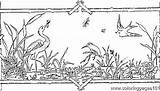 Coloring Pages Wetland Template Printable sketch template