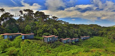 eco hotels  sri lanka  rainforest ecolodge sinharaja chalets