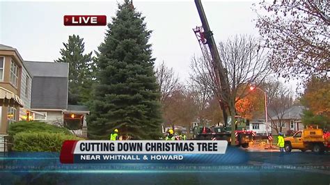 cutting   milwaukee citycounty christmas tree youtube