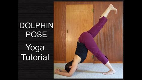 dolphin pose yoga tutorial youtube