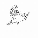 Bird Coloring Pages Birds Kids Gif Bird1 Print Coloringkids Printable Index sketch template
