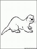 Otter Coloring Pages Sea Drawing River Asian Animals Kids Color Otters Clipart Library Activities Cartoon Sheets Fun Kindergarten Colouring Popular sketch template