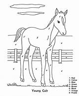 Color Number Coloring Horse Kids Pages Numbers Printable Colt Young Christmas Printables Graders 1st Colour Easy Farm Activity Barnyard Sheets sketch template