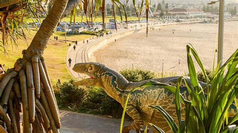 clever girl  roaming  foot velociraptor  turned bondi beach