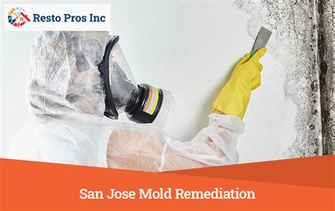 san jose mold remediation services resto pros
