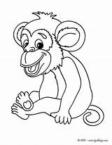 Affe Colorear Singe Chimpance Hellokids Affen Changos Bebes Monos Imgde Gorilas Ausmalbild Ausmalen Chimpancés Chachipedia sketch template