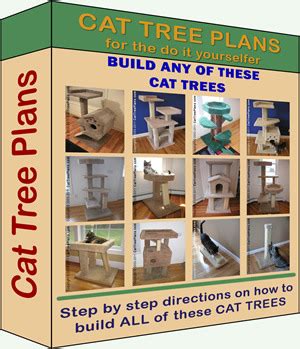 buy  cat tree plans