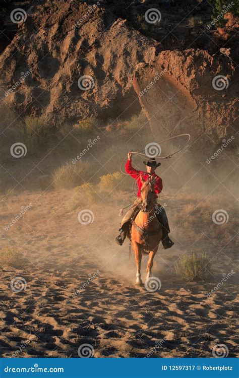 roping cowboy royalty  stock photography image