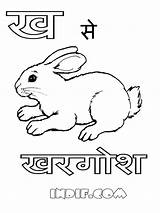 Coloring Hindi Twinkle Alphabets Indif Raindrops Rabbits sketch template