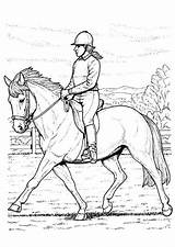 Horse Riding Coloring Pages Getcolorings sketch template
