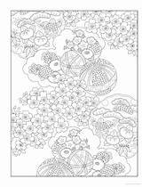 Coloring Haven sketch template