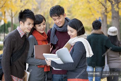 chinese college students  books talking  campus park  autumn