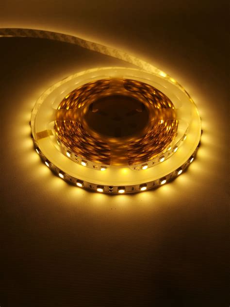 warm white led  flexible strip mtr signcity