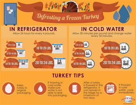 best 25 defrosting turkey ideas on pinterest how to