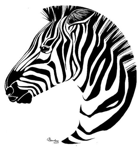black  white drawing   zebras head