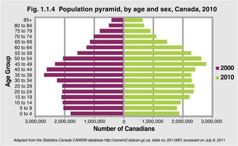 population pyramid by age and sex canada 2010 the