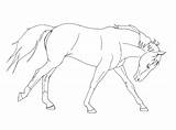 Horse Running Coloring Pages Kids Printable sketch template
