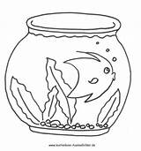Aquarium Fische Ausdrucken Ausmalbild Fisch Malvorlagen Malvorlage Gratis Besuchen Kostenlosen sketch template