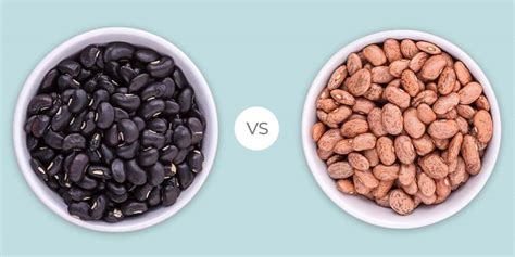 black beans vs pinto beans is one healthier than the other vegans