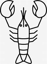 Lobster Drawing Cartoon Simple Shrimp Getdrawings Meat sketch template