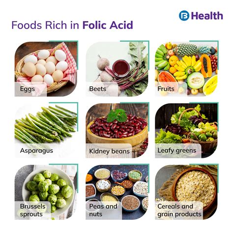 Folic Acid Benefits Uses Right Dosage And Side Effects