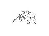 Xenarthra Coloring Pages Animals sketch template